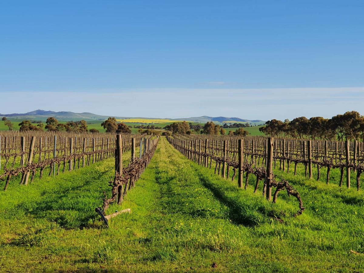 JamestownBelalie Wines别墅 外观 照片