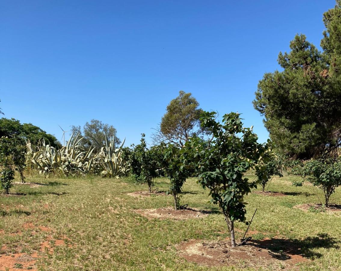 JamestownBelalie Wines别墅 外观 照片