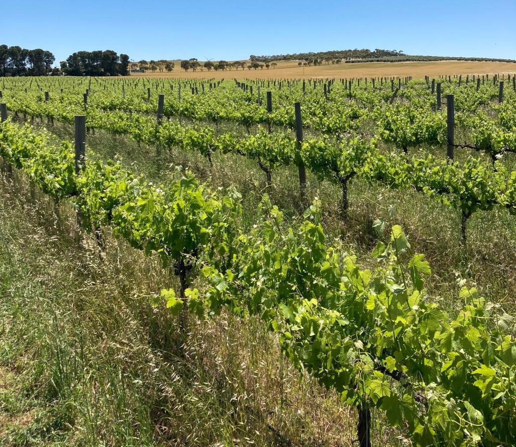 JamestownBelalie Wines别墅 外观 照片